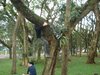 Dsc00080