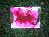 Dsc00170