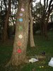 5Dsc00055