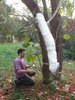 10Dsc00046