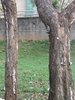 IMG_2816