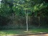 DSC00016