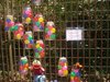 0Dsc05327