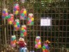 0Dsc05326