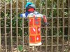 0Dsc05307