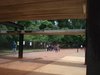 2dsc05606